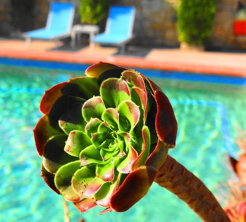 Hotel Aeollos Pefkochori Dış mekan fotoğraf